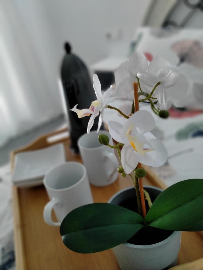 Precioso Loft En Conil De La Frontera Lejlighed Eksteriør billede